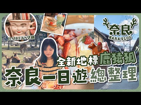 【奈良2023🇯🇵】奈良一日遊總整理！全新地標鹿猿狐散步地圖｜世界遺產東大寺｜復古打卡咖啡店｜柿葉壽司｜溫泉旅館一泊二食｜日本大阪自由行｜關西地區｜旅遊Vlog