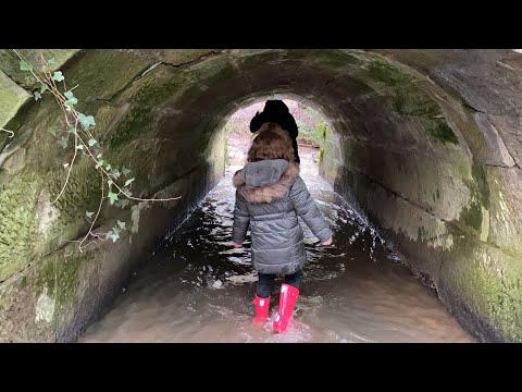 SPOOKY Family WELLY walk in FLOWING STREAMS Forest