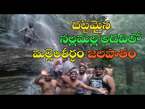 Mallela Theertham waterfall Nallamala Forest Srisailam highway Telangana