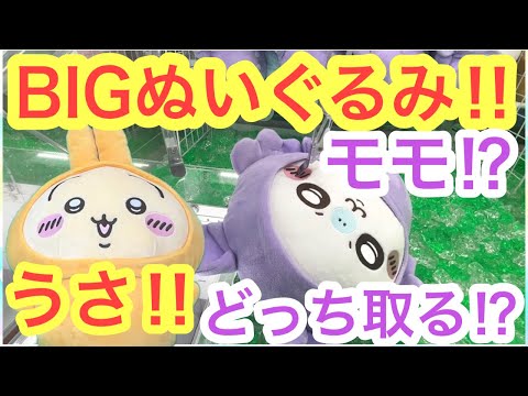 【ちいかわ】ついにキタ！！パジャマBIGぬいぐるみうさぎモモンガ！！導入初日チャレンジ！！