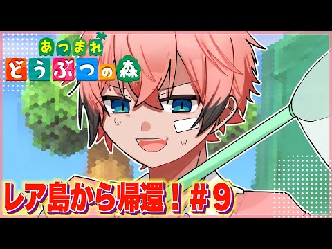 【あつまれどうぶつの森】初のレア島の成果発表！さらにとある下準備 ＃９【にじさんじ / 赤城ウェン】