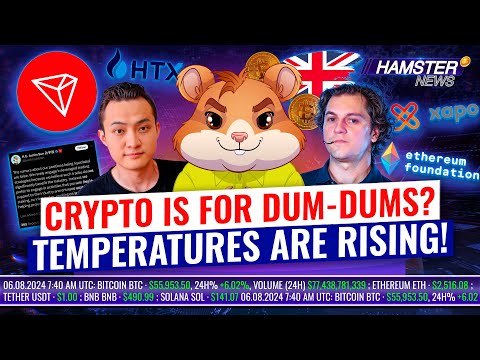 Justin Sun denies being liquidated, hacker losses millions, crypto dev’s harsh take ⚡️ Hamster News