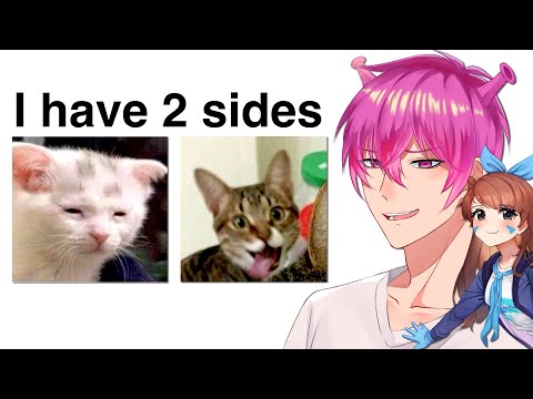 Reacting to CAT MEMES from my DISCORD SERVER (Ft. @Qyuwi )