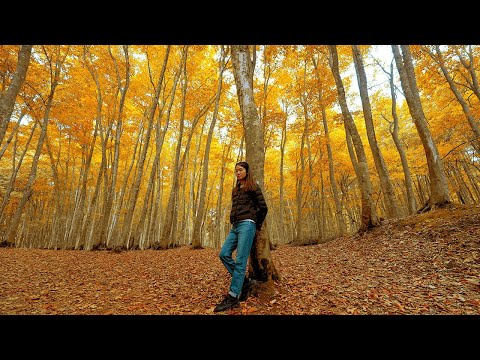 One of the most beautiful places in Japan you didn't know about.