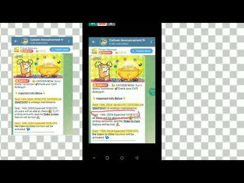 14 September 2024Catizen Airdrop🔥 catizen airdrop new update, Catizen snapshot, catizen withdrawal