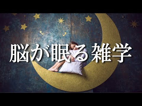 ヒツジのいらない睡眠用雑学 | 安眠の質を高める