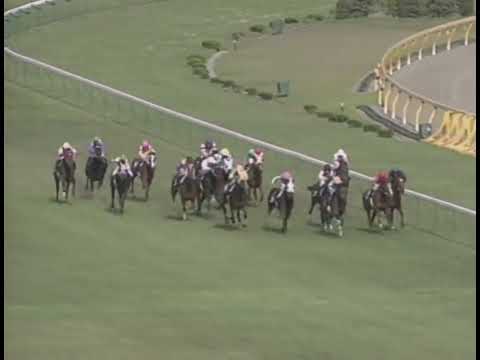 ヤマニンゼファー 1993年 第43回安田記念(GI) (優勝馬：ヤマニンゼファー)