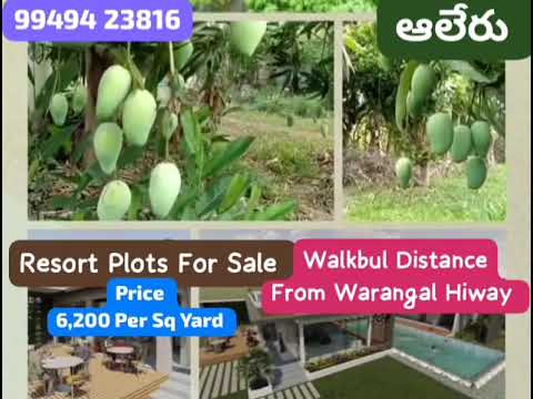 warangal Highway Facing,, Aleru Price 6,200 per sq Yard contact 9949423816