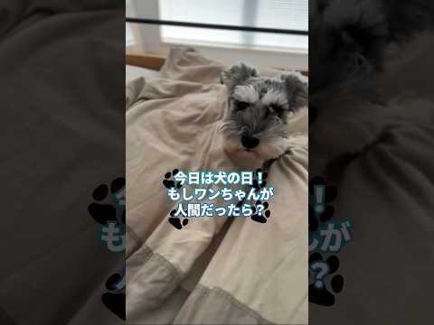 ワンちゃんのかわいくてワンダフルな一日 🐶