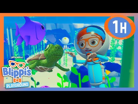 Blippi Roblox Scavenger Hunt! Can He Find All the Colorful Sea Creatures? | Kids TV Shows