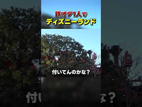 鉄オタ一人でディズニーに行ってみた！