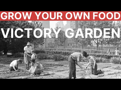 Victory Gardens - Modern Homesteading for Self Sufficiency