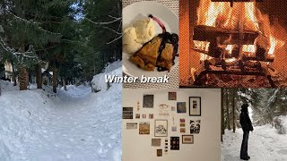 Daily diary: winter break