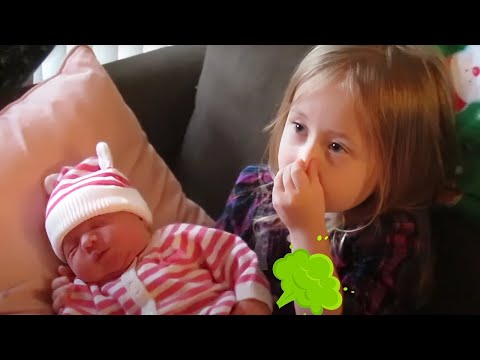 Funny Sibling Rivalry Compilation🔥Hilarious Baby Videos