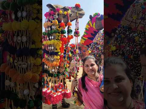 Pushkar Festival 2024 || Pushkar Camel Mela #shorts #pushkar