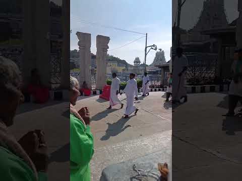 Tirupati Balaji Brahmotsavam Time | #tirupatibalaji #minivlog #shortvlog