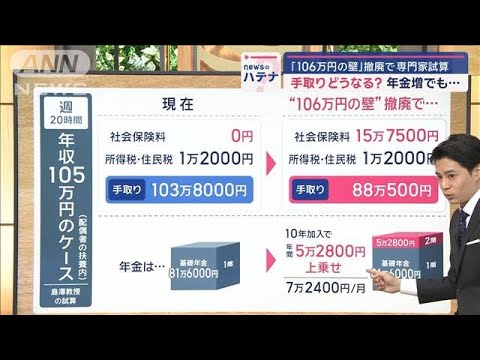 【専門家解説】「106万円の壁」撤廃で手取りどうなる？ 年金増でも…【スーパーJチャンネル】(2024年11月15日)