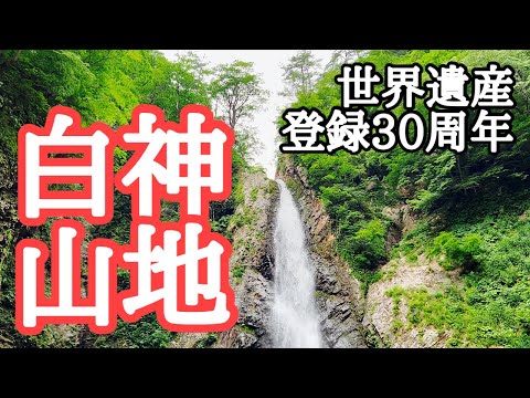 【白神山地】世界遺産登録から30年。初めて歩いてきました　撮影：2024年6月30日