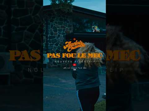 « Pas Fou Le Mec », nouveau vidéoclip d’Alaclair Ensemble maintenant disponible! 🍻🎈❄️