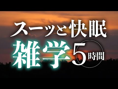 【睡眠導入】スーッと快眠雑学5時間【合成音声】