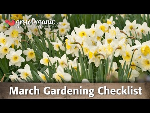 March Gardening Checklist: 9 Tips to Prepare Your Organic Garden for a Successful Growing Season