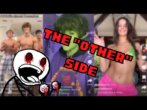 The "Other" Side Of TikTok