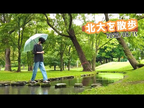 雨が降る北大を散歩しながら喋る