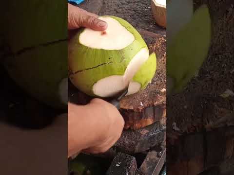 coolest coconut cutting style Asmr #coconutcutting #streetfood #youtubeshorts @GatchieJr33