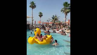 DUBAI beach club / satirday pool party / party