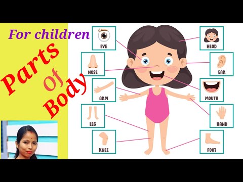 Learn parts of human body name for Children ll शरीर के अंगों के नाम।