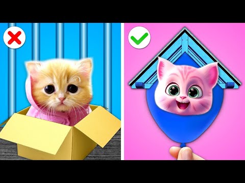 Building Secret Room in Jail || Rich vs Broke, Cool Pet Hacks by Gotcha! Viral