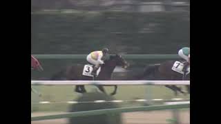 セイウンスカイ 1998年 4歳新馬戦 (優勝馬：セイウンスカイ)