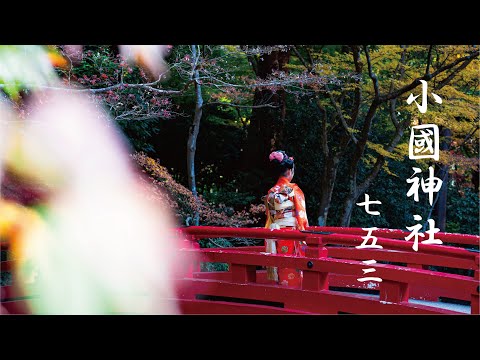 小國神社七五三｜cinematic Jananese an event to celebrate the growth of children｜紅葉｜静岡｜shizuoka shrine