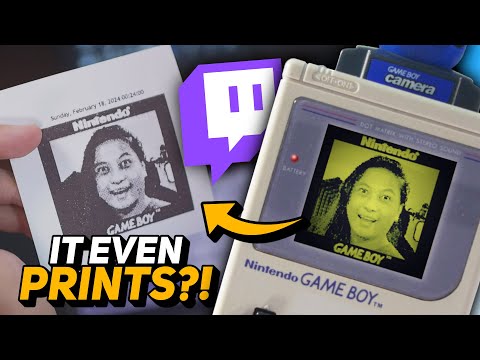 I Built A Twitch Widget That Takes GAME BOY Camera Photos!