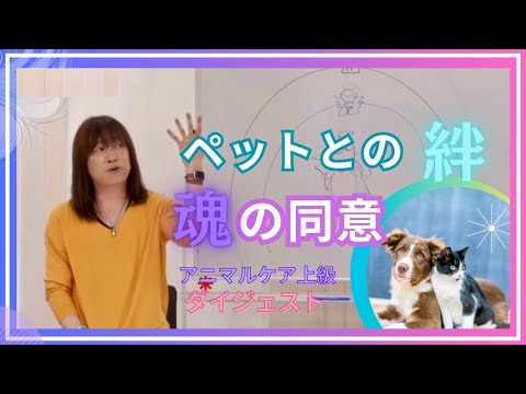 並木良和：ペットとのご縁の意味を知る次元にアクセス／動物も人間も好き！ヒーリングウォーターの作り方／有料ワーク内容を特別公開！