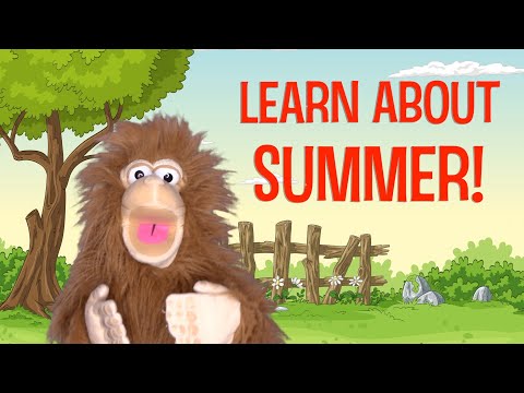 Learn About Summer for Kids: Summer Solstice, seasons, weather for preschool and kindergarten