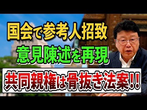 【離婚後・共同親権】導入の民法改正案は骨抜き法案！ 国会での意見陳述を再現