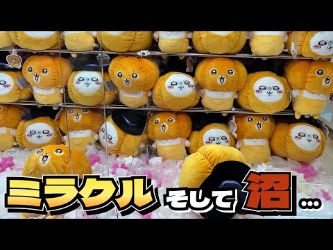 【クレーンゲーム】ちいかわ うさぎ・モモンガ　カボチャBIGぬいぐるみにチャレンジ！！初日チャレンジしてきた