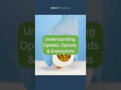 How to Differentiate Opiates, Opioids & Endorphins 💊