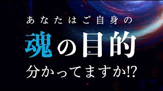 【必見】魂の目的を果たすとは!?