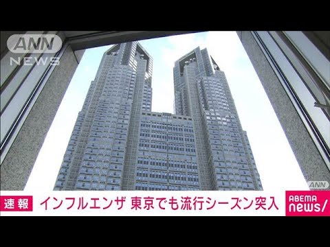 インフルエンザが東京都でも流行シーズンに突入(2024年11月14日)