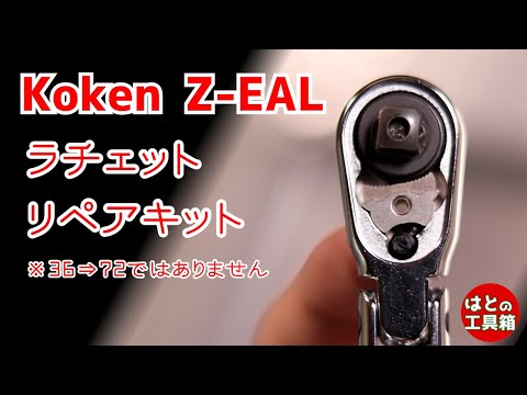 Koken Z-EAL repair kit