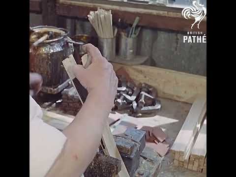 How to Make a Cricket Bat (1962)  #vintage  #oldisgold  #oddlysatisfying  #design  #cricket  #shorts