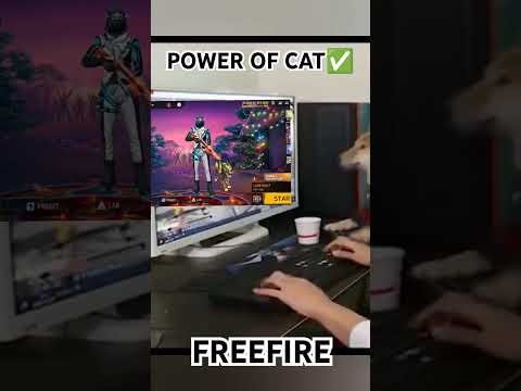 Power Of Cat✅💥#foryou #freefirehighlights  #viral #trending #cat #search #freefire #shorts