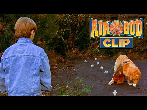 Josh Meets Buddy | Air Bud Clip