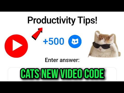 Productivity Tips Cats Video Code |Productivity Tips +500 Cat Code Productivity Tips Cats Video Code