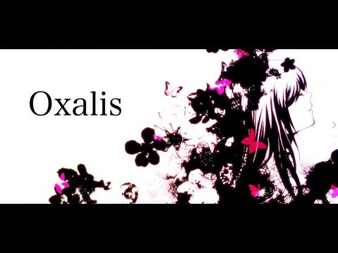 Oxalis / ウォルピスカーター【歌ってみた】