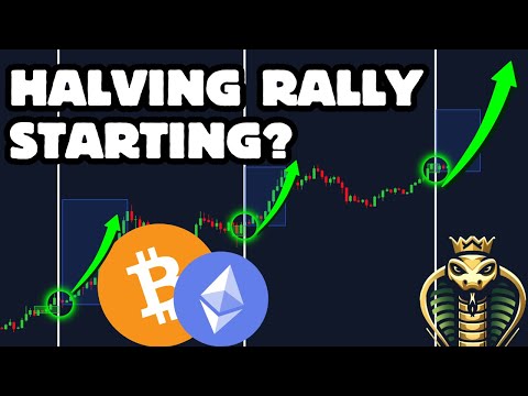 Bitcoin Macro Analysis: The UNTOLD Truth!