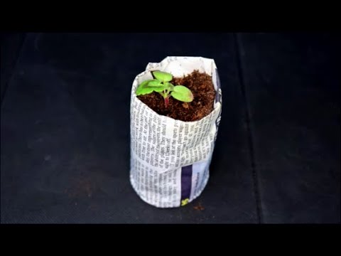 Garden Hack - How to Make Newspaper Plant Pots