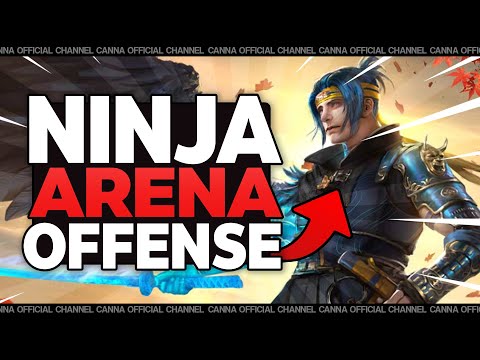 IS NINJA INSANE?